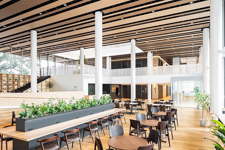 “從透明到流動(dòng)：Shunan公立大學(xué)新大樓的導(dǎo)視藝術(shù)