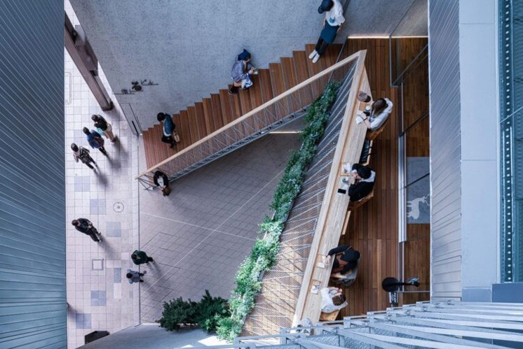 光與木的溫暖敘事：標(biāo)識(shí)設(shè)計(jì)中的人文關(guān)懷 